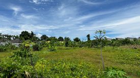 Land for sale in Patong, Phuket