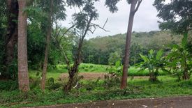 Land for sale in Pa Khlok, Phuket