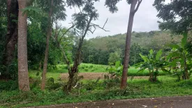 Land for sale in Pa Khlok, Phuket