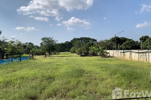 Land for sale in Chom Phu, Chiang Mai