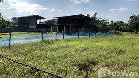 Land for sale in Chom Phu, Chiang Mai