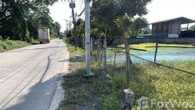 Land for sale in Chom Phu, Chiang Mai