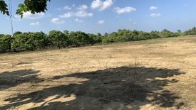 Land for sale in Chom Phu, Chiang Mai