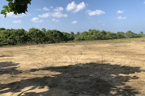 Land for sale in Chom Phu, Chiang Mai