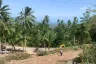 Land for sale in Bo Phut, Surat Thani