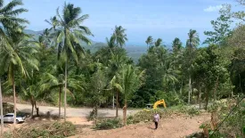 Land for sale in Bo Phut, Surat Thani