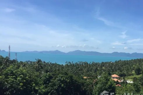 Land for sale in Mae Nam, Surat Thani