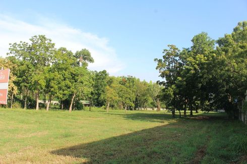 Land for sale in Nong Prue, Chonburi