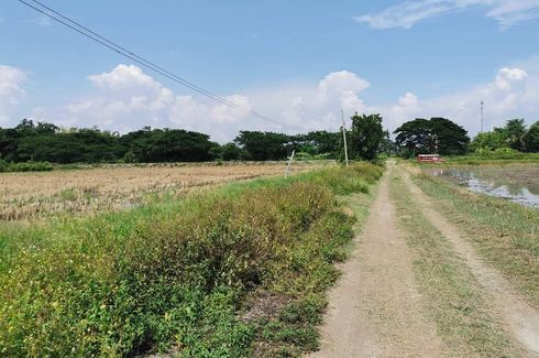 Land for sale in Nong Faek, Chiang Mai