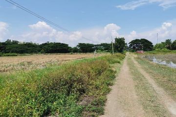 Land for sale in Nong Faek, Chiang Mai