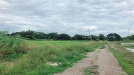 Land for sale in Nong Faek, Chiang Mai