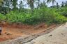 Land for sale in Maret, Surat Thani