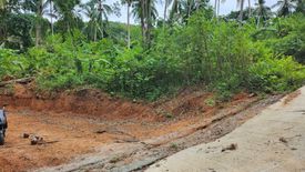 Land for sale in Maret, Surat Thani