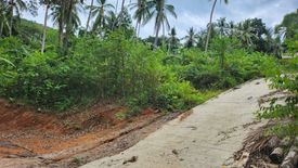 Land for sale in Maret, Surat Thani