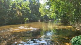 Land for sale in Khlong Sok, Surat Thani