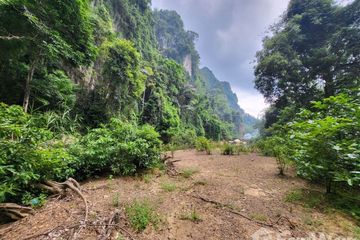 Land for sale in Khlong Sok, Surat Thani