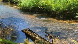 Land for sale in Khlong Sok, Surat Thani