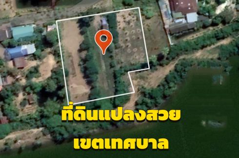 Land for sale in Chakkarat, Nakhon Ratchasima