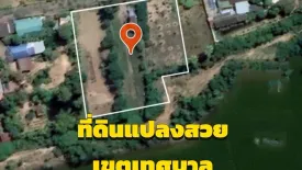 Land for sale in Chakkarat, Nakhon Ratchasima