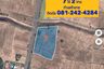 Land for sale in Si Lako, Nakhon Ratchasima