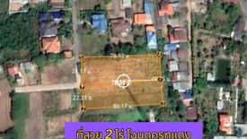 Land for sale in Chakkarat, Nakhon Ratchasima