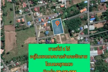 Land for sale in Chakkarat, Nakhon Ratchasima