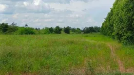 Land for sale in Chakkarat, Nakhon Ratchasima