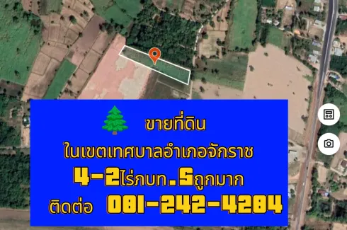 Land for sale in Chakkarat, Nakhon Ratchasima