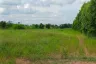 Land for sale in Chakkarat, Nakhon Ratchasima