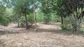 Land for sale in Nong Pla Lai, Chonburi