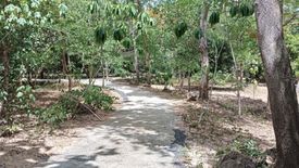 Land for sale in Nong Pla Lai, Chonburi