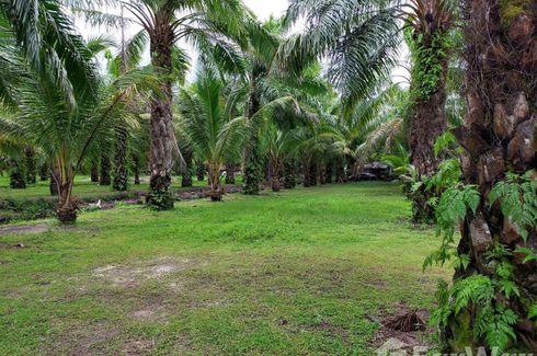 Land for sale in Pa Khlok, Phuket