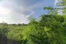 Land for sale in Na Jomtien, Chonburi