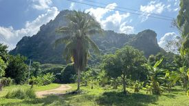 Land for sale in Na Yang, Phetchaburi