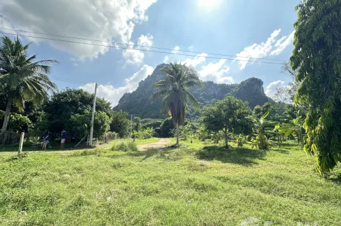 Land for sale in Na Yang, Phetchaburi