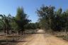 Land for sale in Nam Bo Luang, Chiang Mai