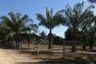 Land for sale in Nam Bo Luang, Chiang Mai