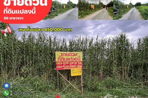 Land for sale in Bang Bua Thong, Nonthaburi