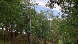 Land for sale in Mai Khao, Phuket