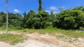 Land for sale in Choeng Thale, Phuket