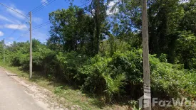 Land for sale in Choeng Thale, Phuket