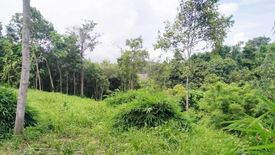 Land for sale in Choeng Thale, Phuket