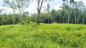 Land for sale in Choeng Thale, Phuket