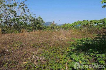 Land for sale in Choeng Thale, Phuket