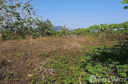 Land for sale in Choeng Thale, Phuket