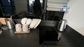 1 Bedroom Condo for rent in OKA HAUS Sukhumvit 36, Khlong Tan, Bangkok near BTS Thong Lo