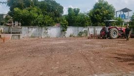 Land for sale in Nong Prue, Chonburi