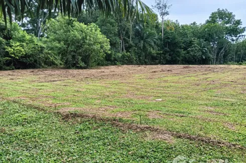 Land for sale in Na Tham Nuea, Trang