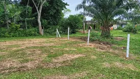 Land for sale in Na Tham Nuea, Trang