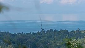 Land for sale in Ang Thong, Surat Thani